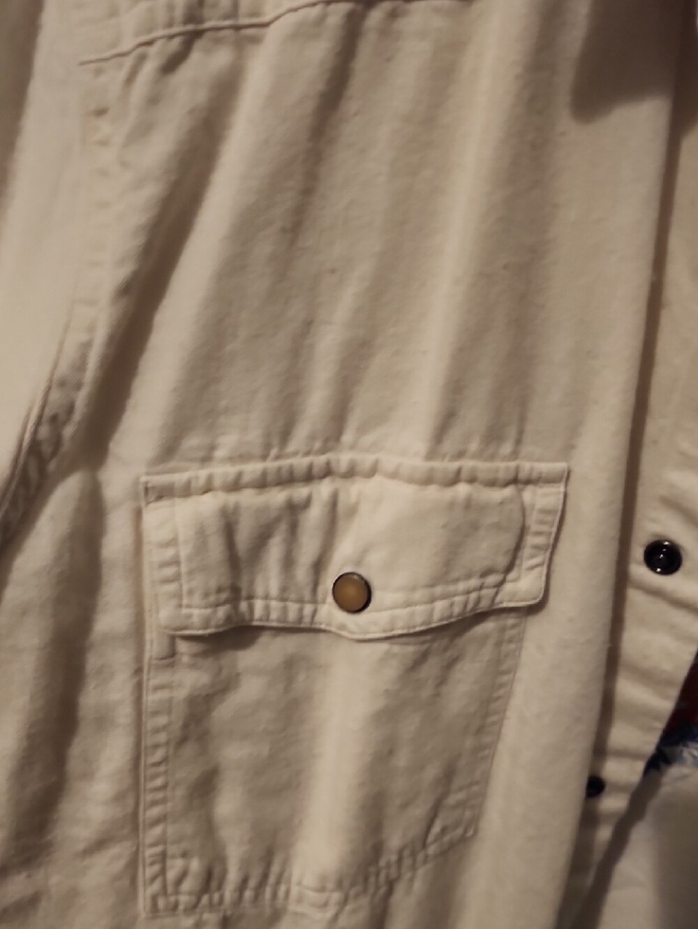 Rown Cream Short-Sleeve Button-Down Shirt with Floral Embroidery - Picture 3 of 4